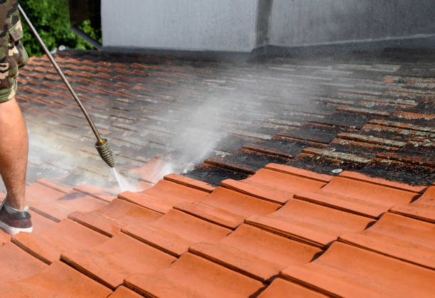 Local Pressure Washing Services in Black Rock, NM