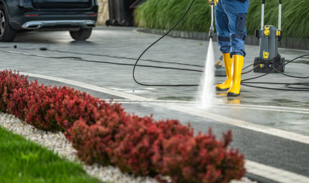 Best Roof Pressure Washing  in Black Rock, NM